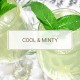 Monin Frosted Mint Syrup 700ml