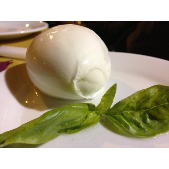 Ball of Buffalo Mozzarella Cheese