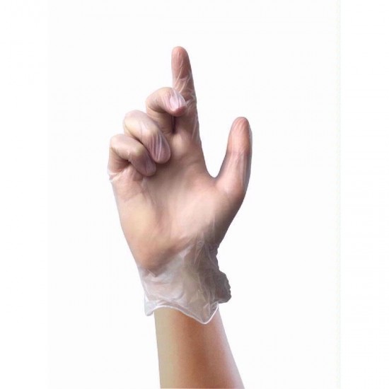 Hand with Clear Powder Free Vinyl Glove