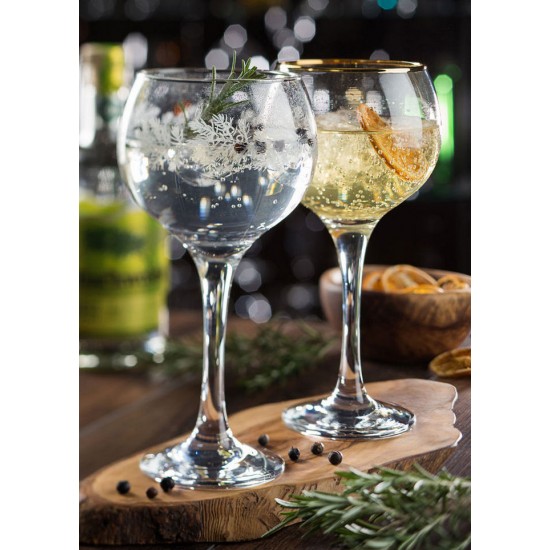 Ambassador Gin Glass 19.75oz X 6