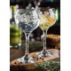 Ambassador Gin Glass 19.75oz X 6