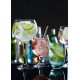 Ambassador Gin Glass 19.75oz X 6