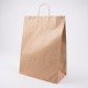 Twist Handle Kraft Bags Large X 250