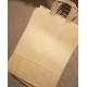 Twist Handle Kraft Bags Large X 250