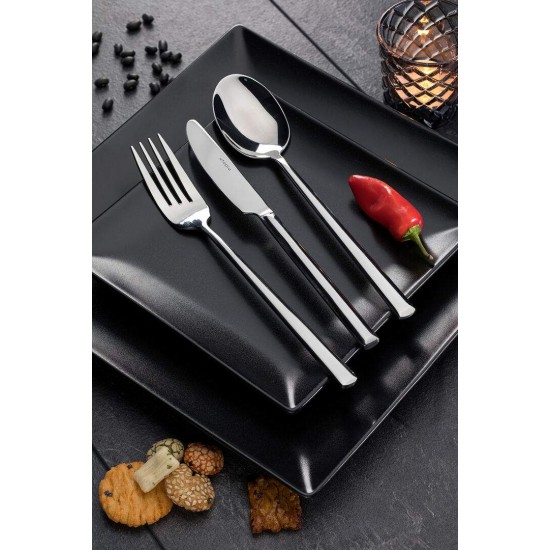 Signature Table Spoon X 12