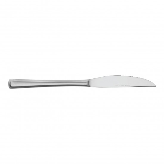 Steak Knife S/s X 12