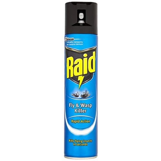 Raid Fly Killer 300ml in a can