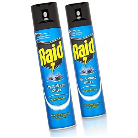 Raid Fly Killer 300ml in a can