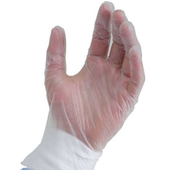 Hand with Vinyl Gloves Clear Powdered Large