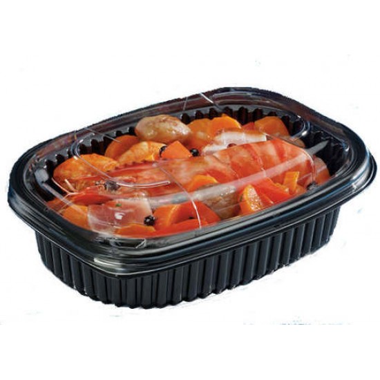 Hot food best sale in plastic tupperware