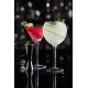 Hayworth Martini 10.5oz (30cl) X 6