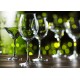 Enoteca Wine Glasses