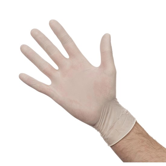 Latex Gloves Powdered - Size L (box 100)